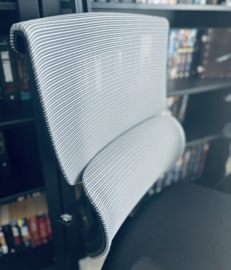 Flexispot C7 Office Chair Review Mesh Backing